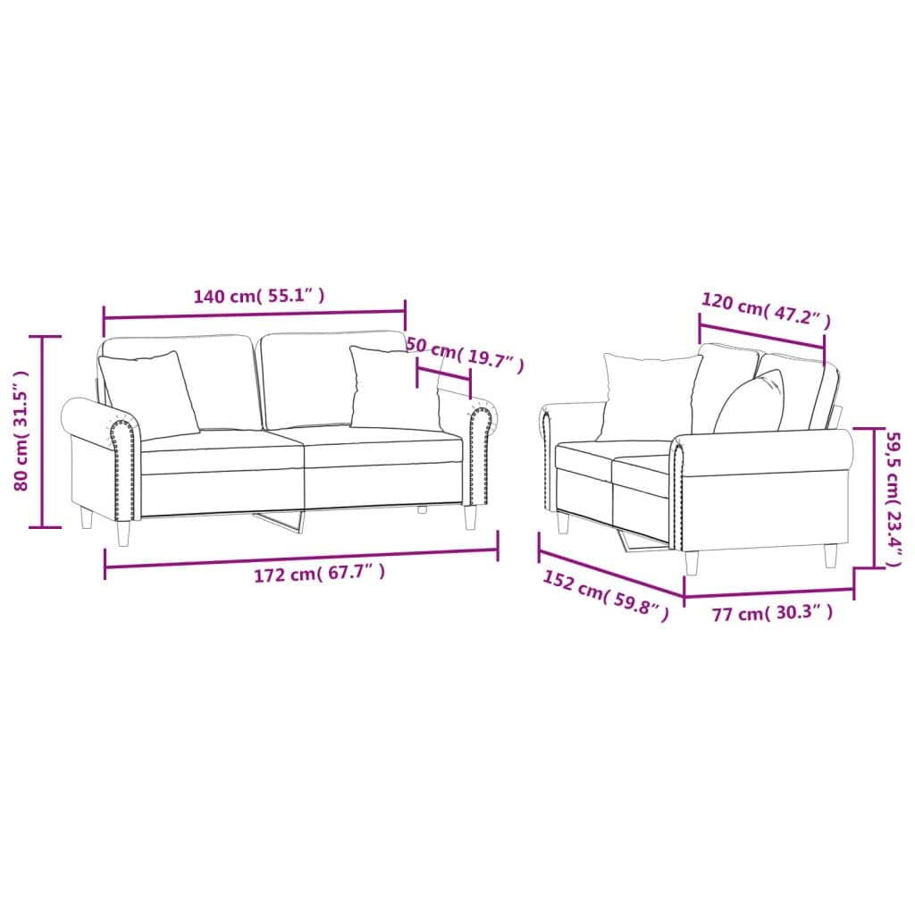 Light Gray Velvet 2 Piece Sofa Set with Pillows A45085
