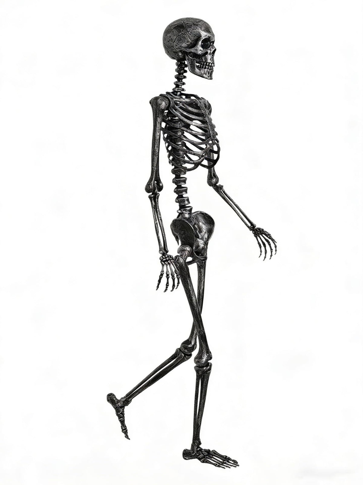 5 FT Posable Black Skeleton D3075
