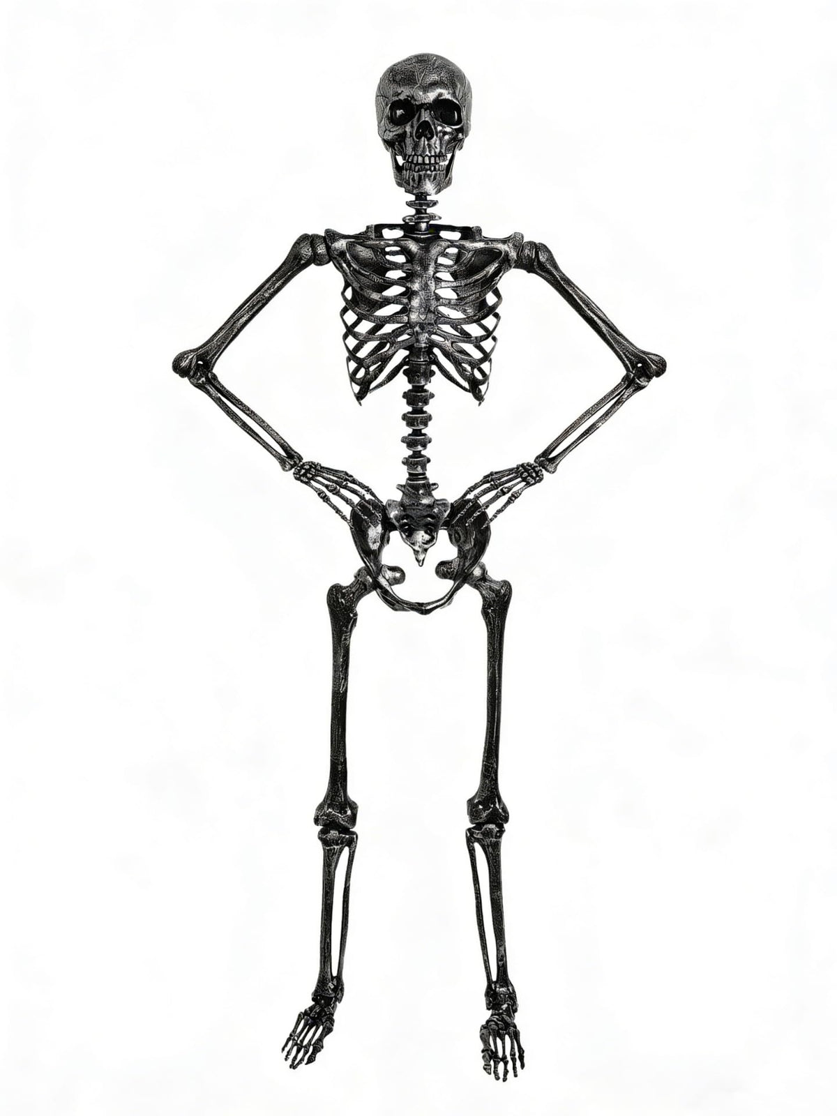 5 FT Posable Black Skeleton D3075