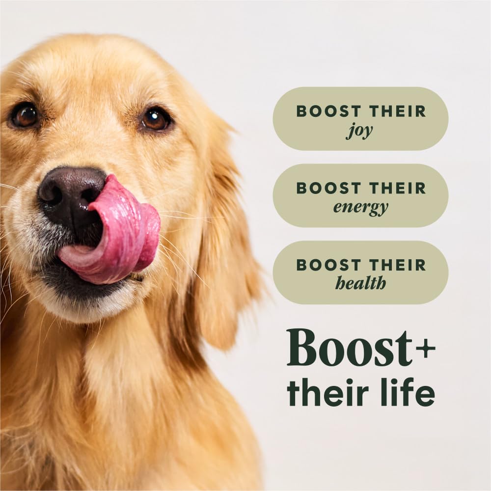 Chicken & Brown Rice Dry Dog Food 20 lb L253