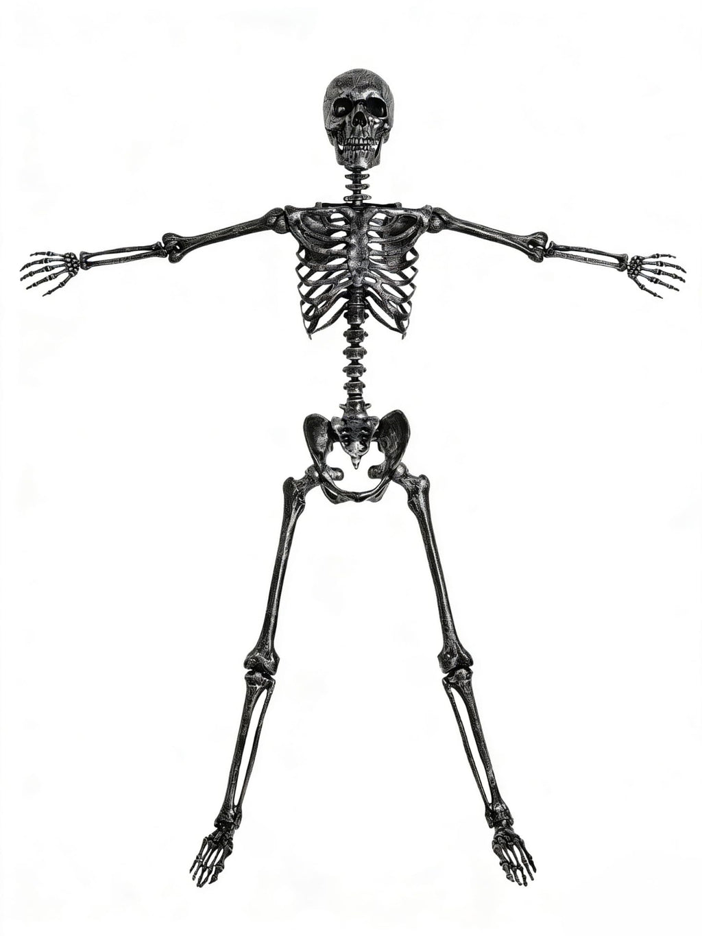 5 FT Posable Black Skeleton D3075