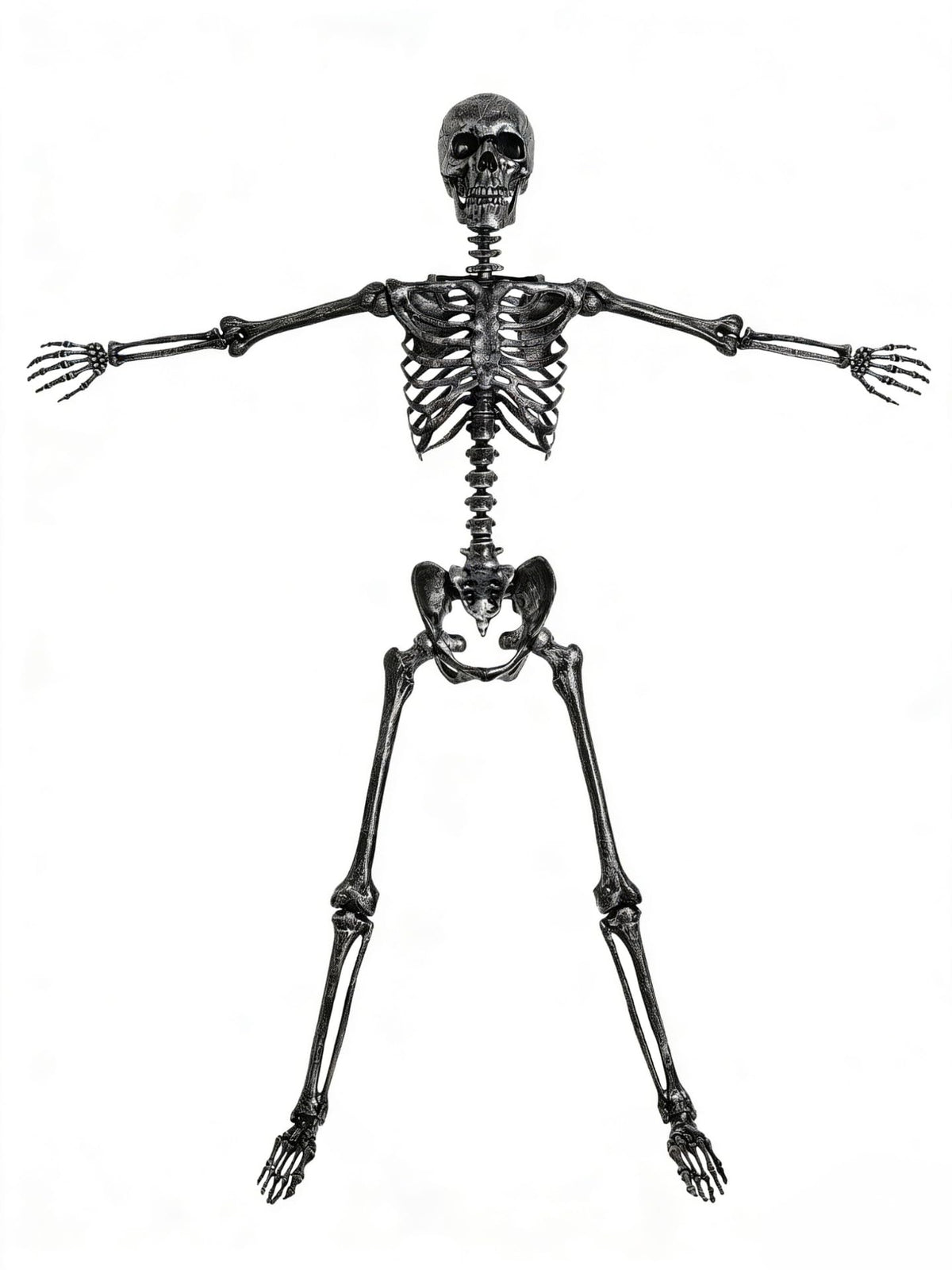 5 FT Posable Black Skeleton D3075
