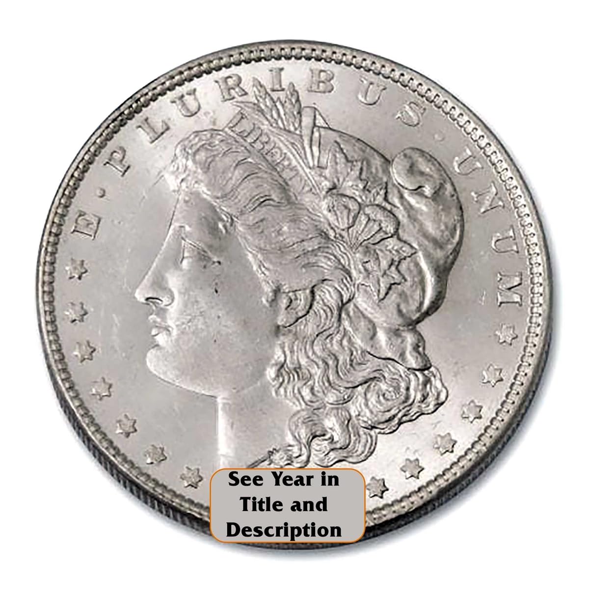 Morgan Silver Dollar E7100
