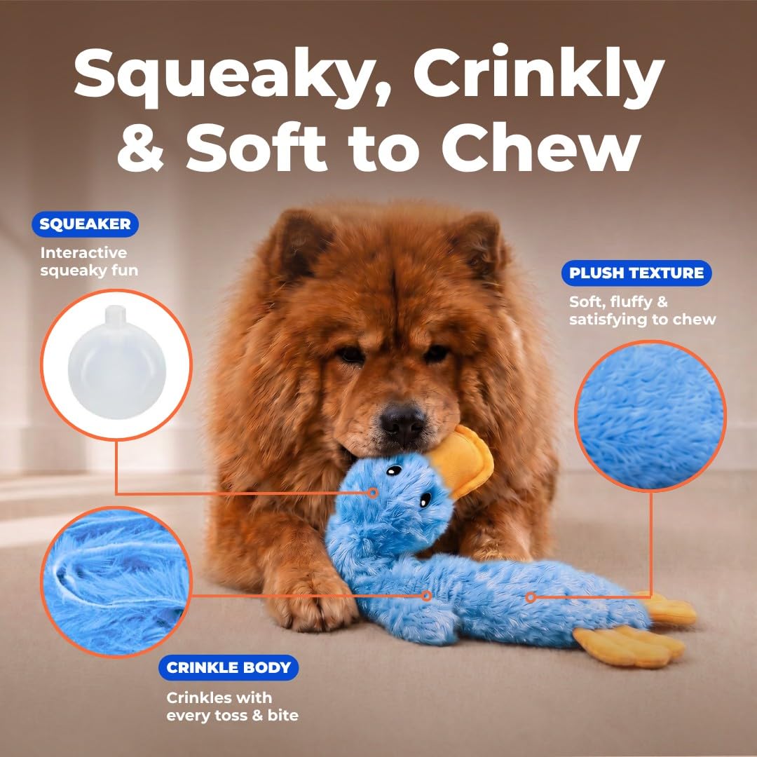 Interactive Squeaky Dog Toy Crinkle Duck Blue M431926