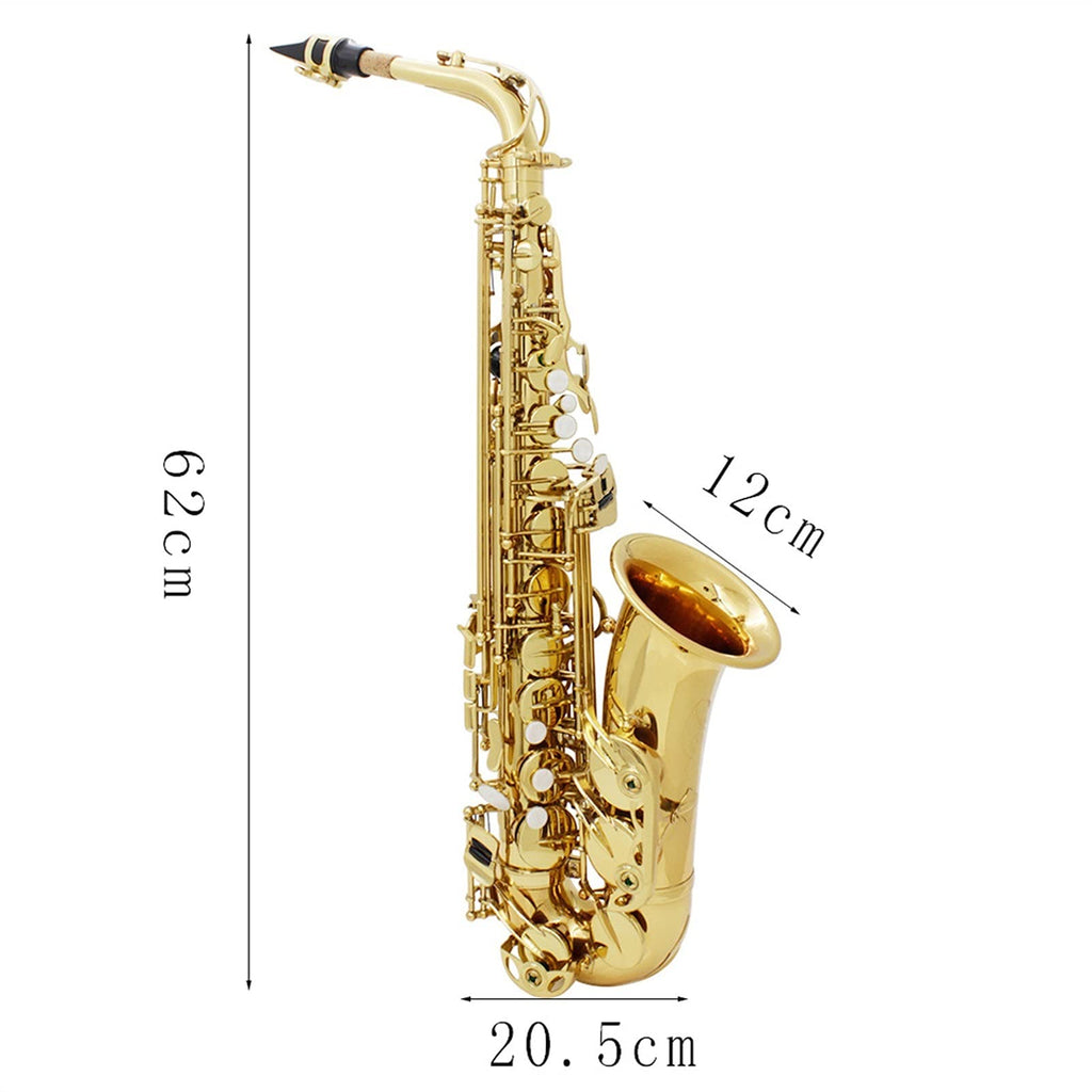 Alto Saxophone Brass Instrument W8517