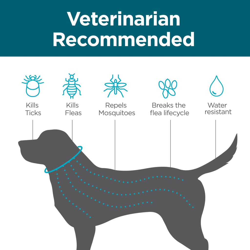 Flea and Tick Collar for Small Dogs I653