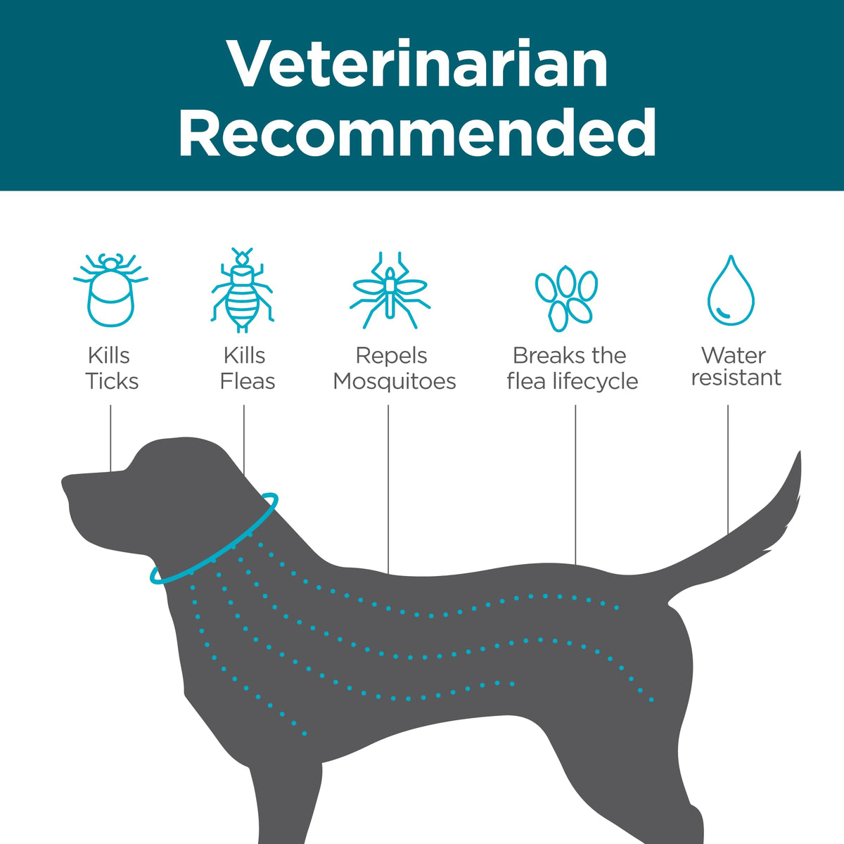 Flea and Tick Collar for Small Dogs I653