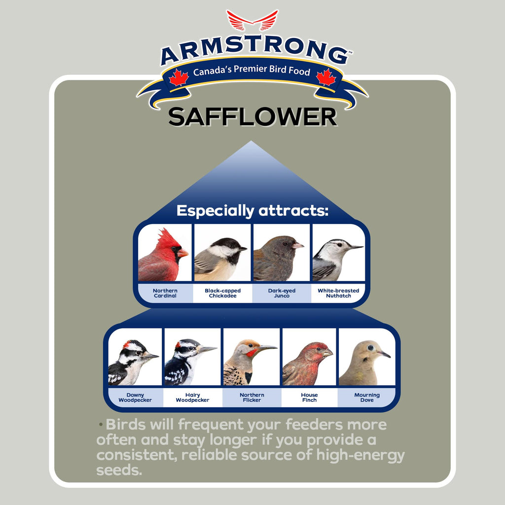 Safflower Bird Seed 20 Pounds Pack of 2 C8384