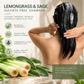 Sulfate-Free Shampoo & Conditioner Set 8 oz X8679