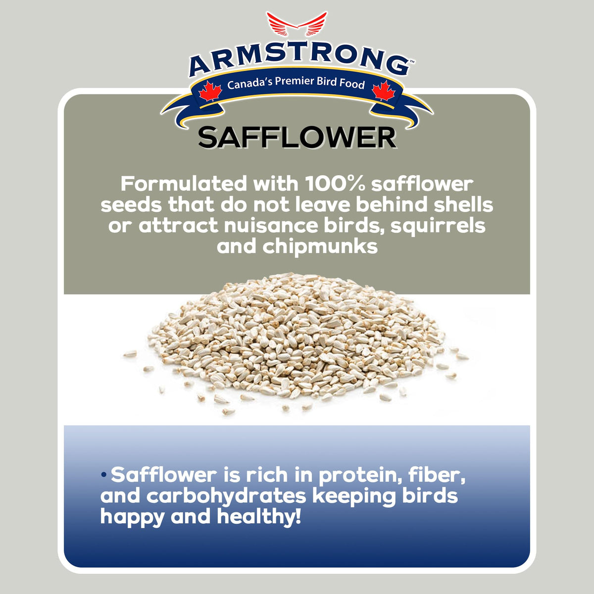 Safflower Bird Seed 20 Pounds Pack of 2 C8384