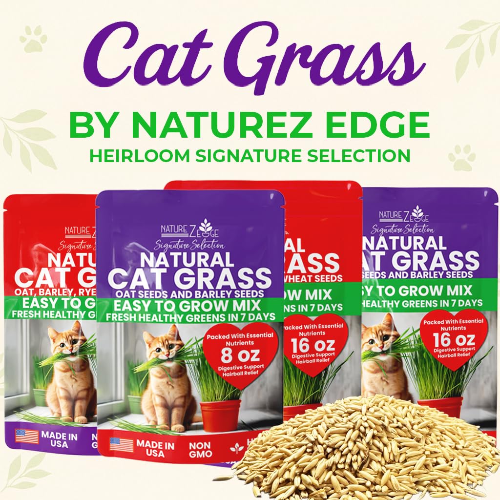 Cat Grass & Catnip Seeds 3 Pack Variety Kit R99485
