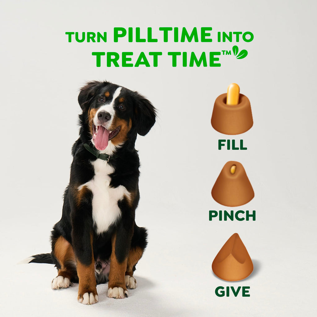 Peanut Butter Large Size Dog Treats 15.8 oz P418