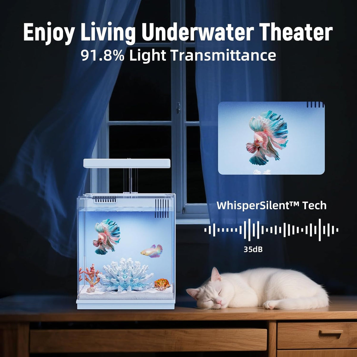 2 Gallon Aquarium Kit with Filtration & LED Light V967