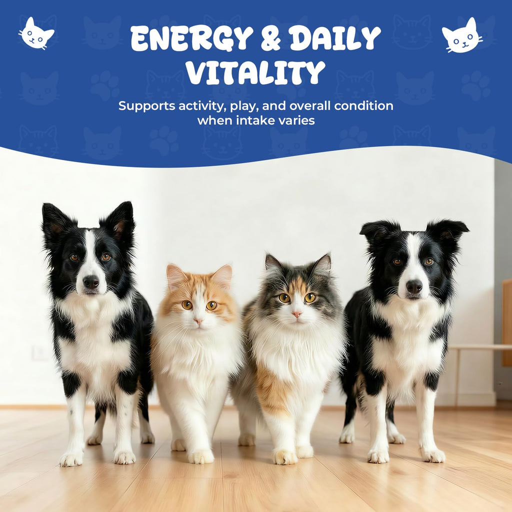 Vitamin B12 Drops with Methylcobalamin Z424
