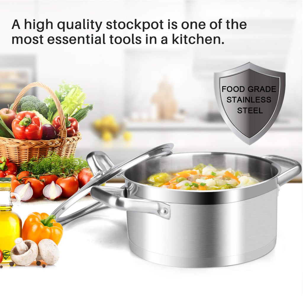 Stainless Steel 4.2 Qt Stock Pot with Lid I3490