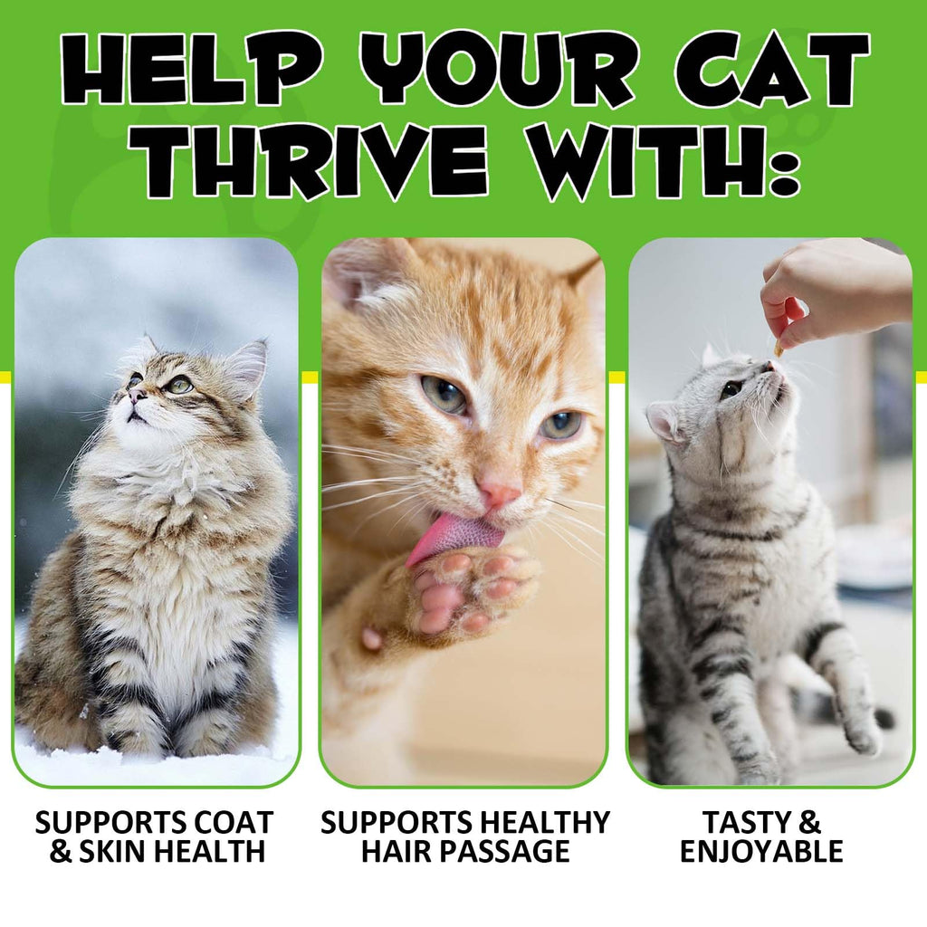 Chicken Omega-3 Fiber Supplement for Cats R600