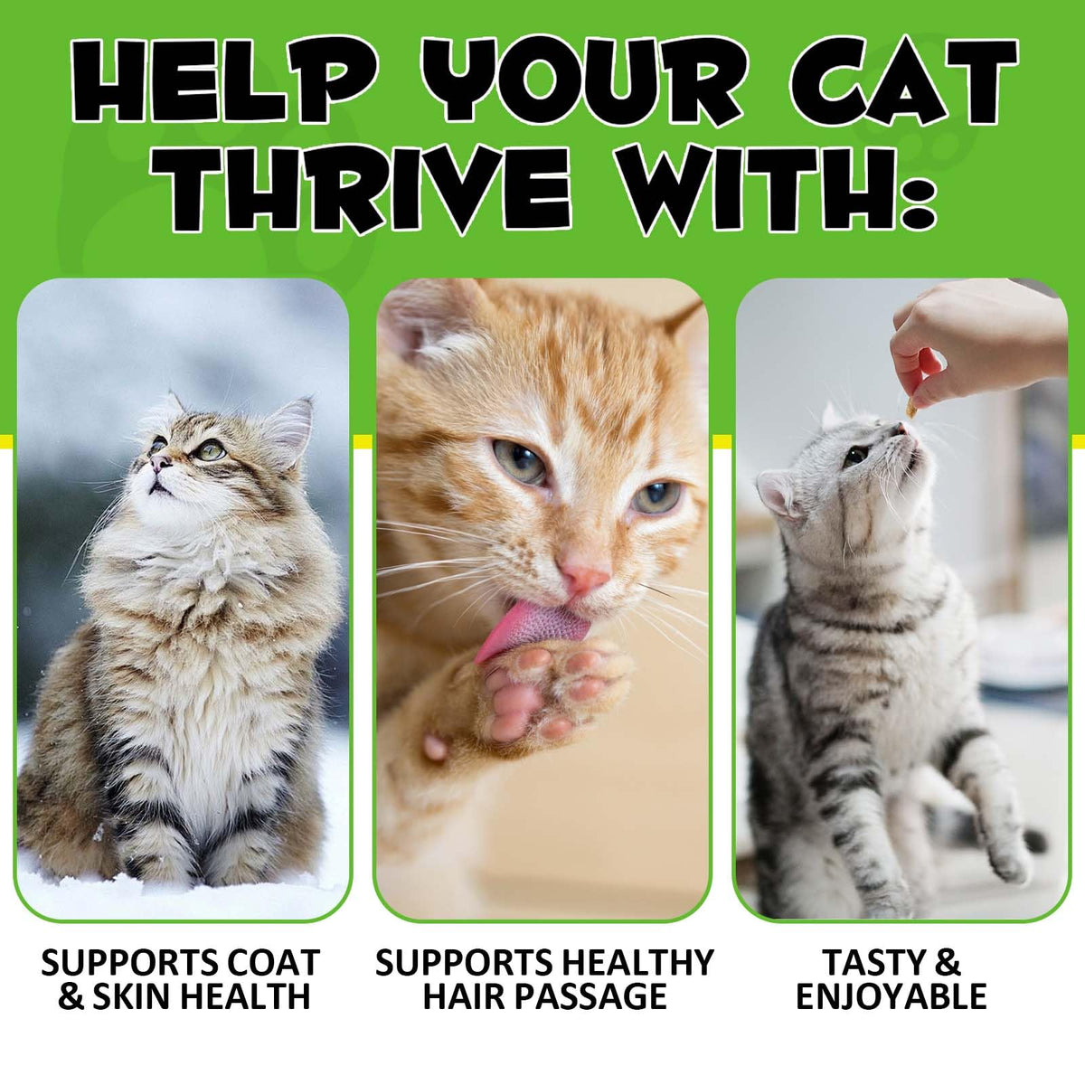 Chicken Omega-3 Fiber Supplement for Cats R600