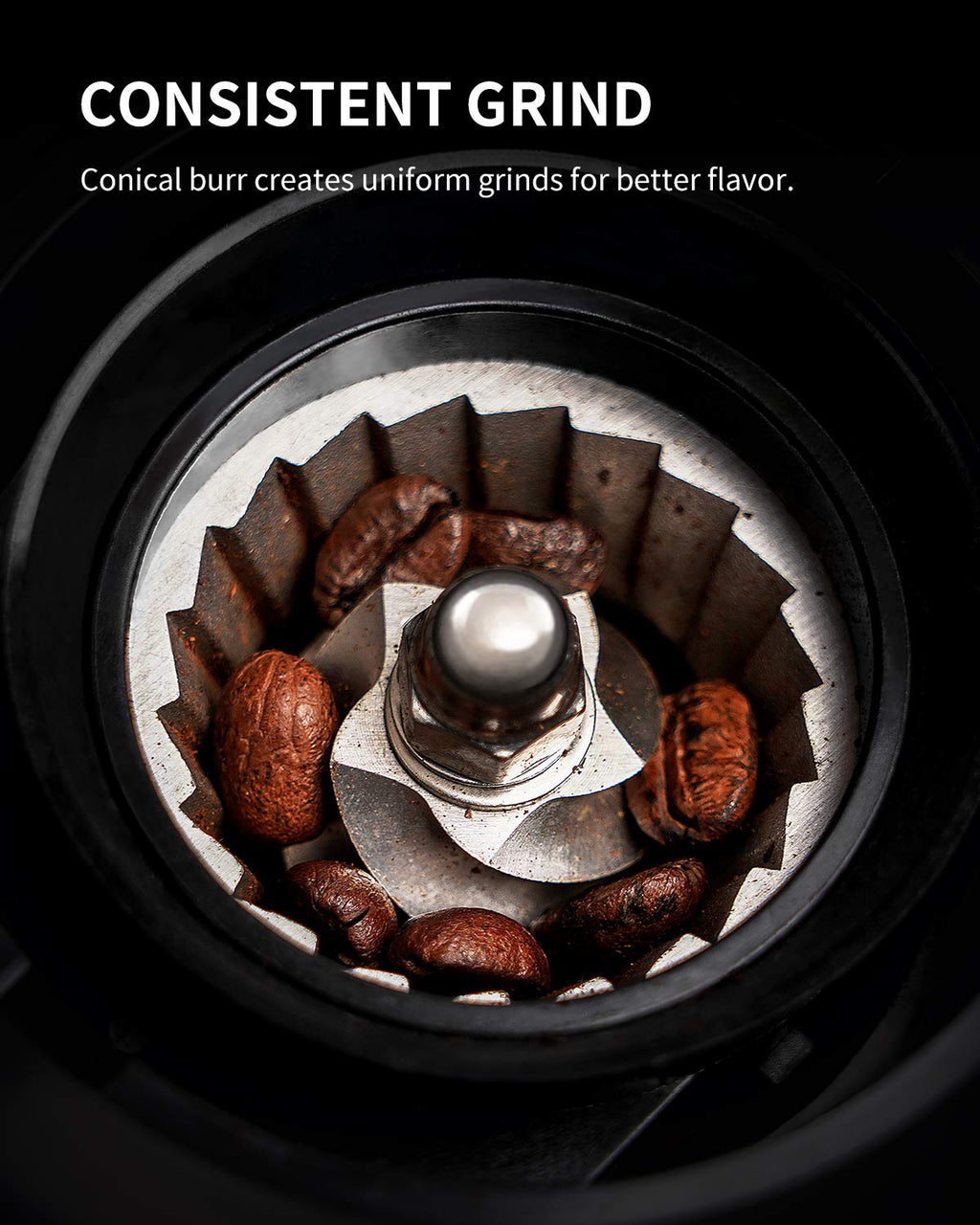 Conical Burr Electric Coffee Grinder 35 Settings Black V59526