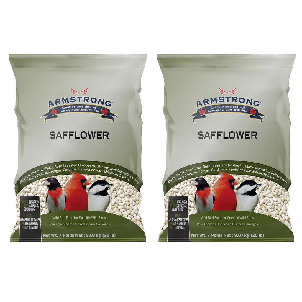 Safflower Bird Seed 20 Pounds Pack of 2 C8384