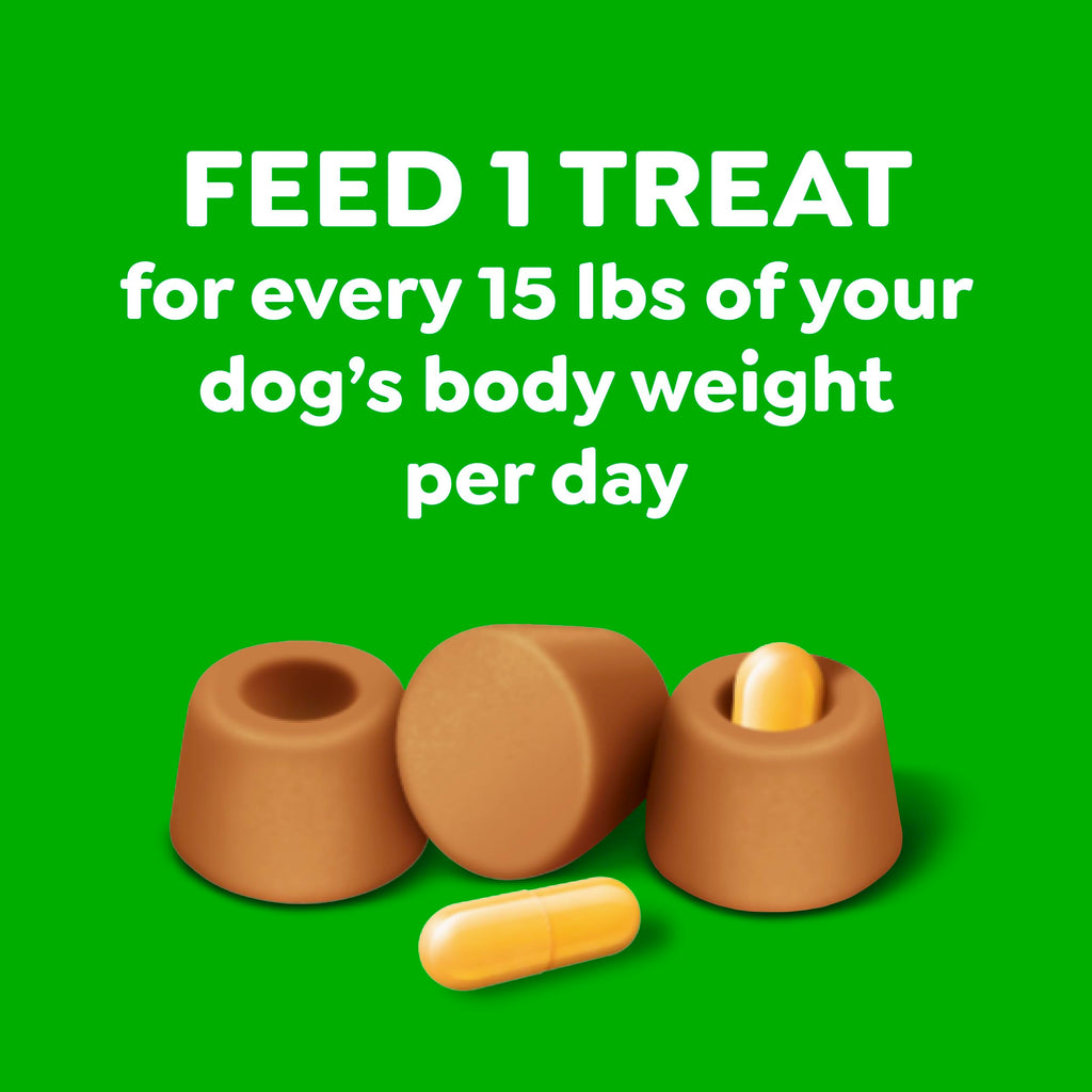 Peanut Butter Large Size Dog Treats 15.8 oz P418