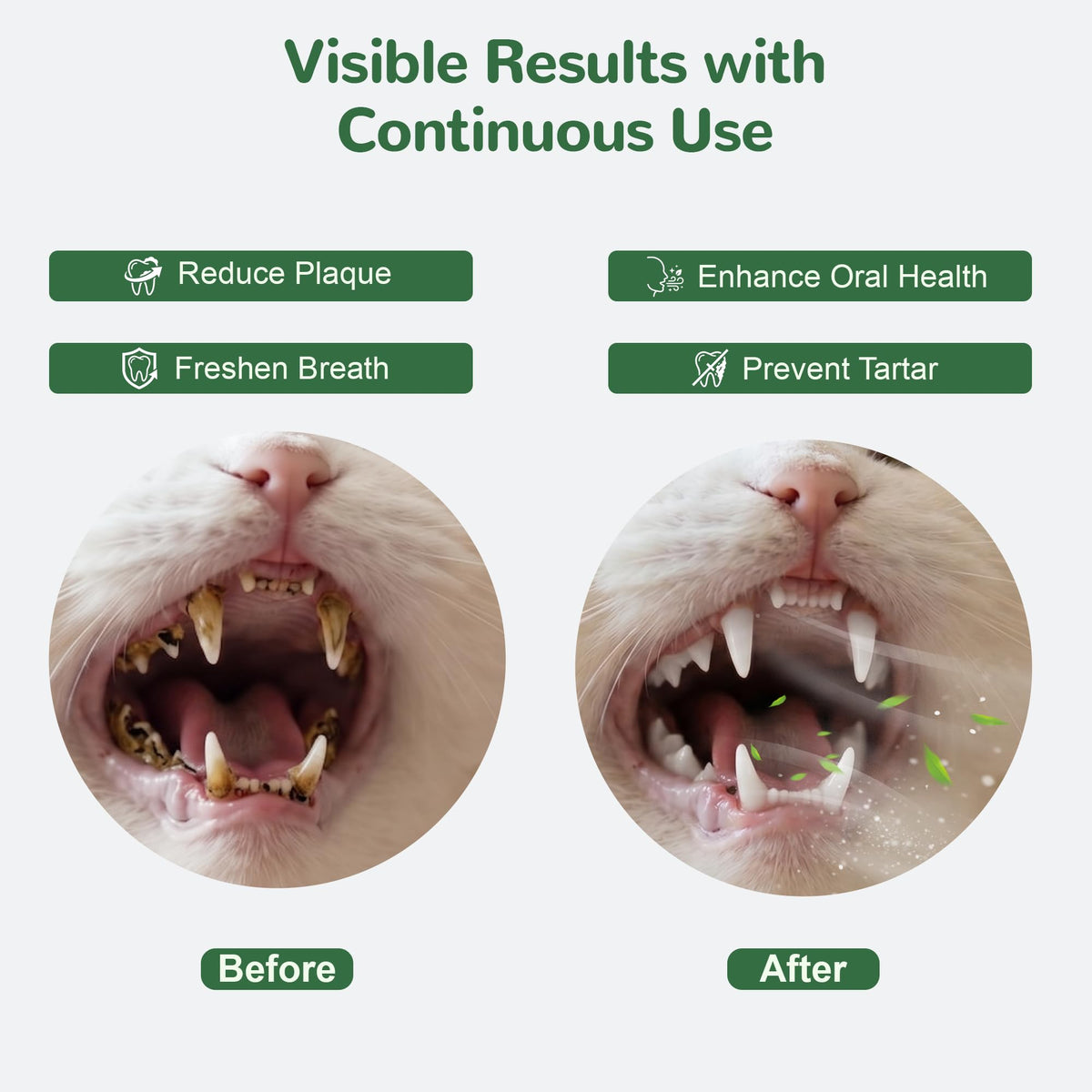 Cat Dental Care Powder with Probiotics 80g D126129
