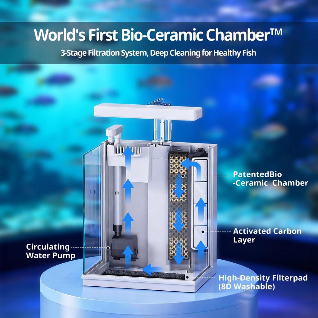 2 Gallon Aquarium Kit with Filtration & LED Light V967