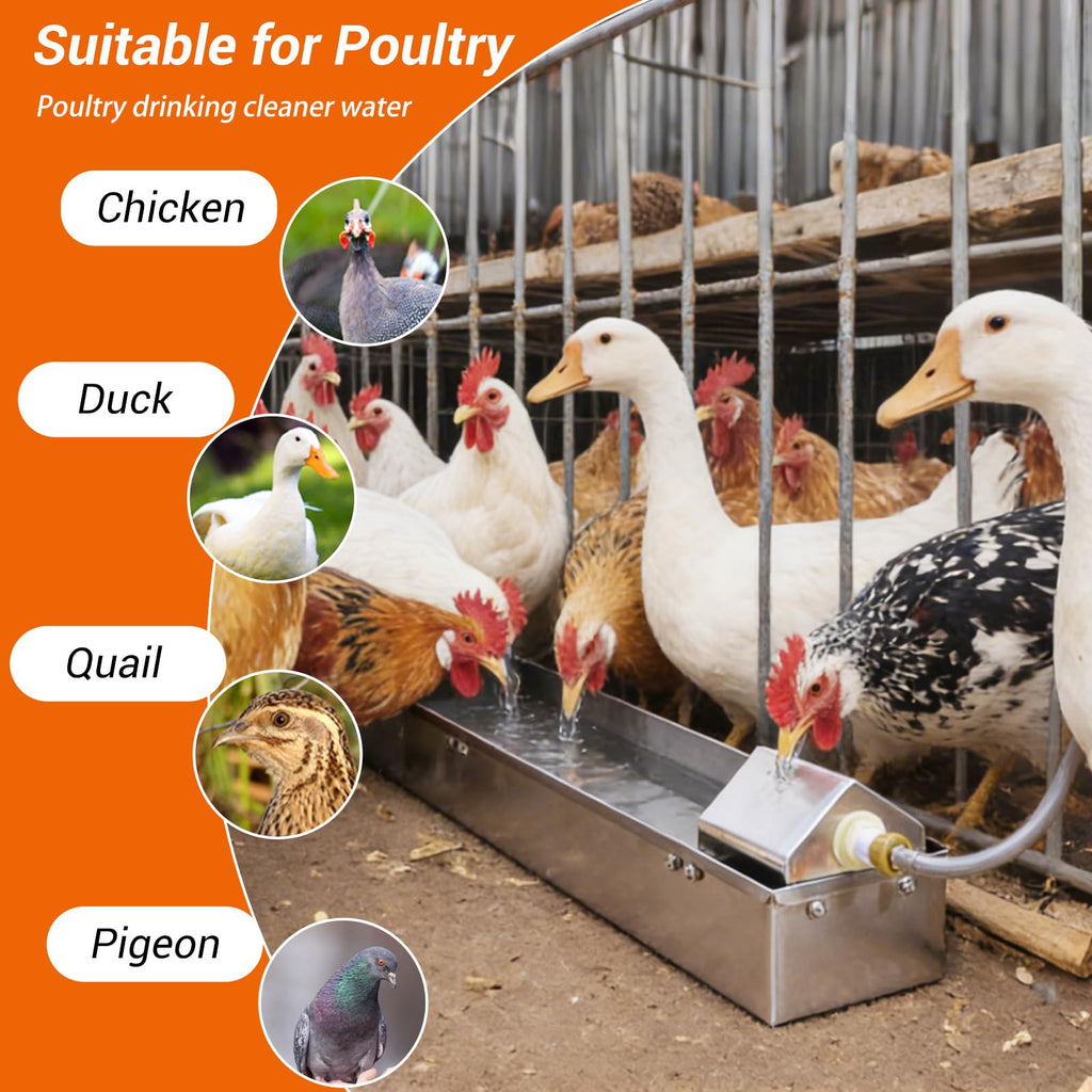 1 Gallon Stainless Metal Automatic Chicken Waterer Dispenser H81149