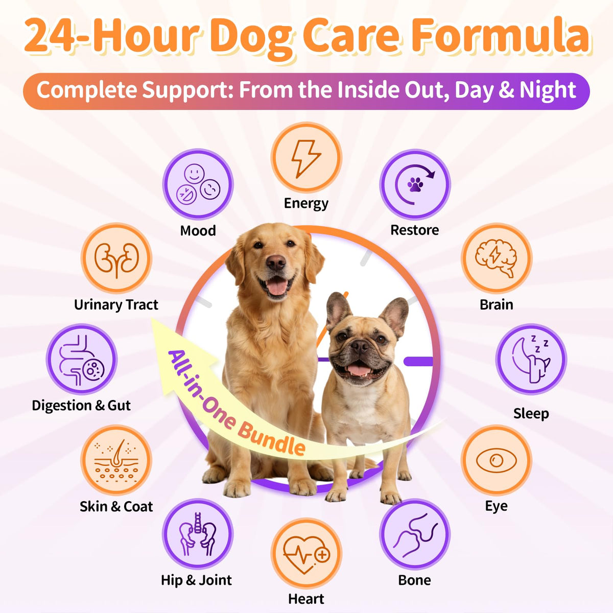 Dog Vitamins and Supplements 2 Pack Chicken F458