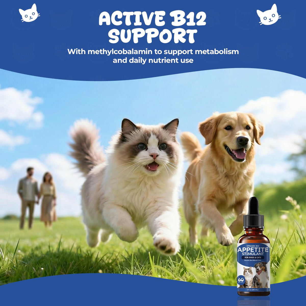 Vitamin B12 Drops with Methylcobalamin Z424