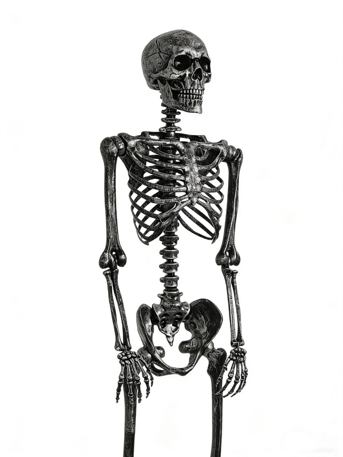 5 FT Posable Black Skeleton D3075