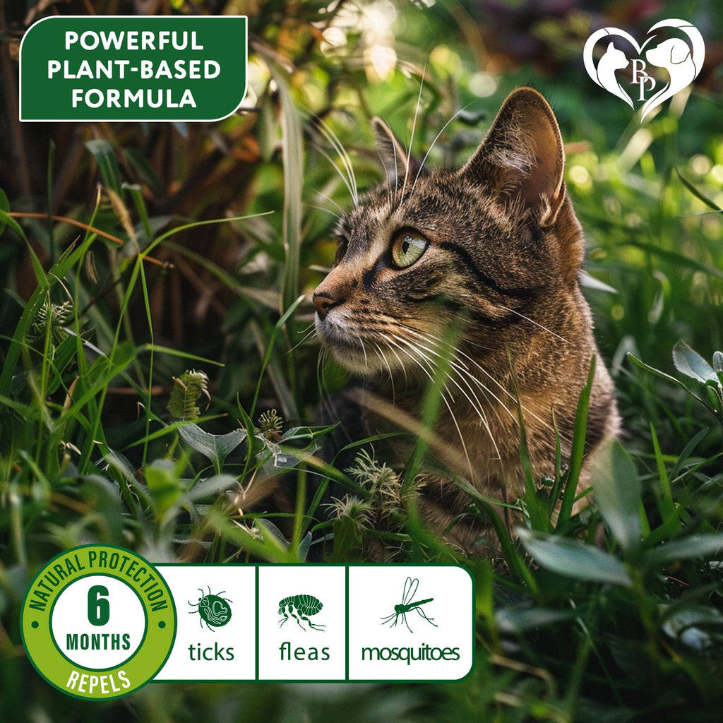 Natural Flea & Tick Collar for Cats 1 Pack F6907