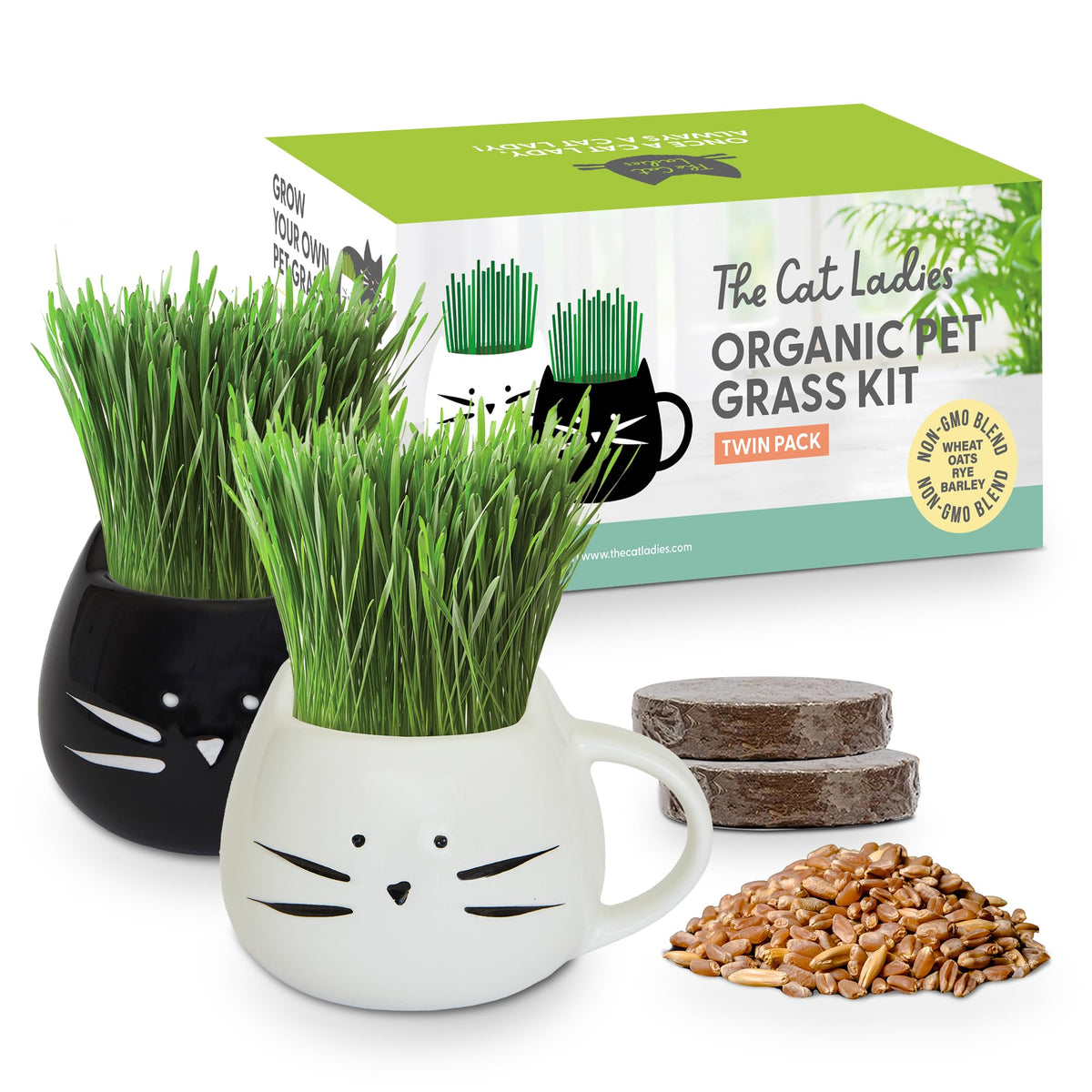 Cat Grass Growing Kit with Seed Mix, Soil and Two Planters T725074