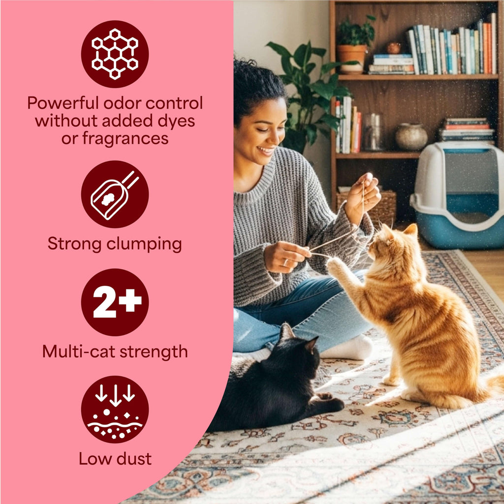 Unscented Multi Cat Clumping Litter, 18.5lb, 2Pk M184
