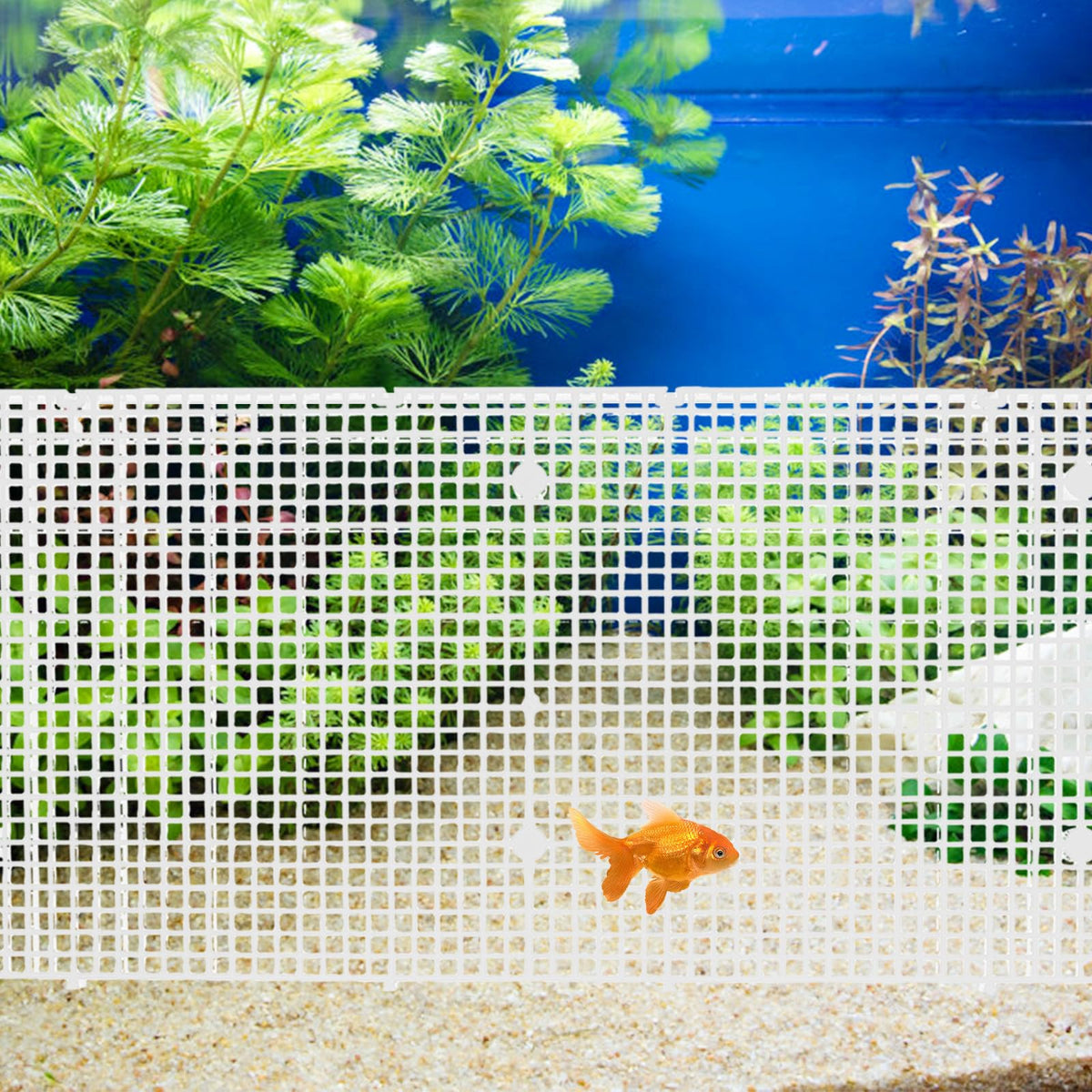 4pcs Cuttable Plastic Aquarium Tank Dividers with Suction Cups B3299