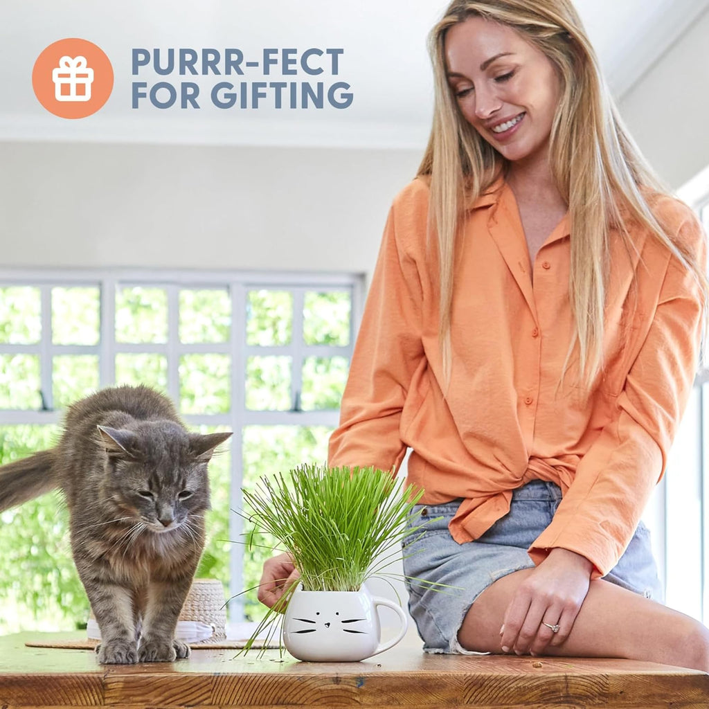 Cat Grass Growing Kit with Seed Mix, Soil and Two Planters T725074