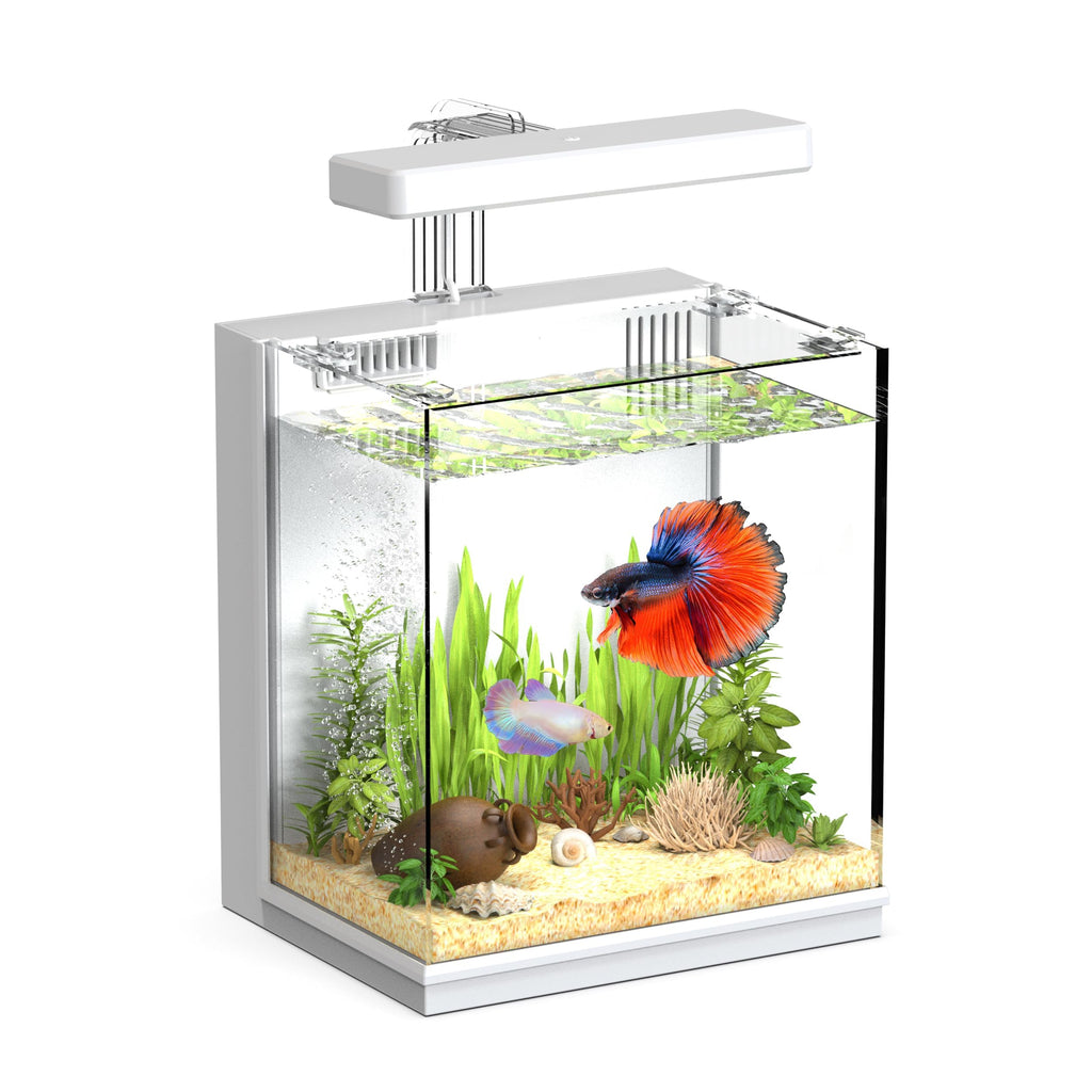 2 Gallon Aquarium Kit with Filtration & LED Light V967