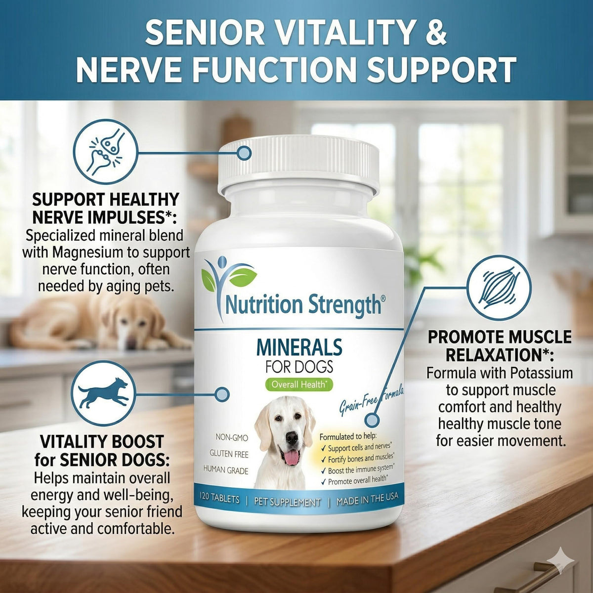 Dog Minerals & Electrolytes 120 Tablets A171