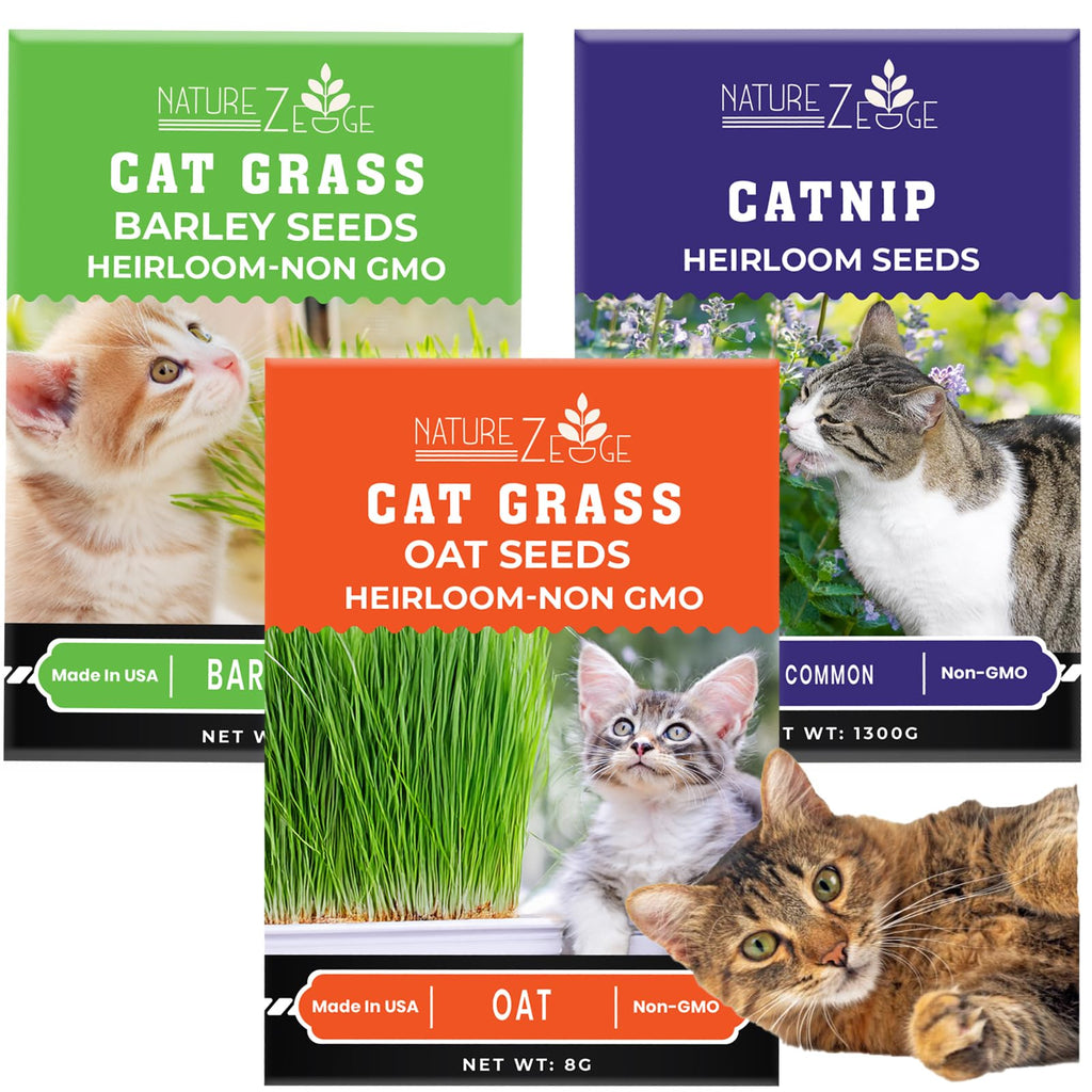 Cat Grass & Catnip Seeds 3 Pack Variety Kit R99485
