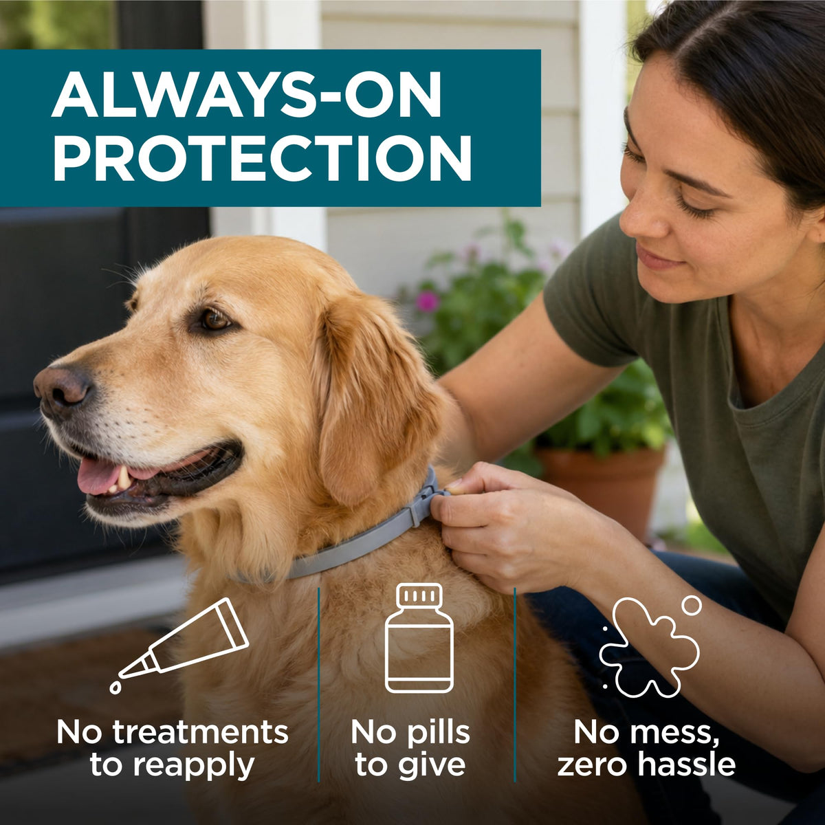 Flea and Tick Collar for Small Dogs I653