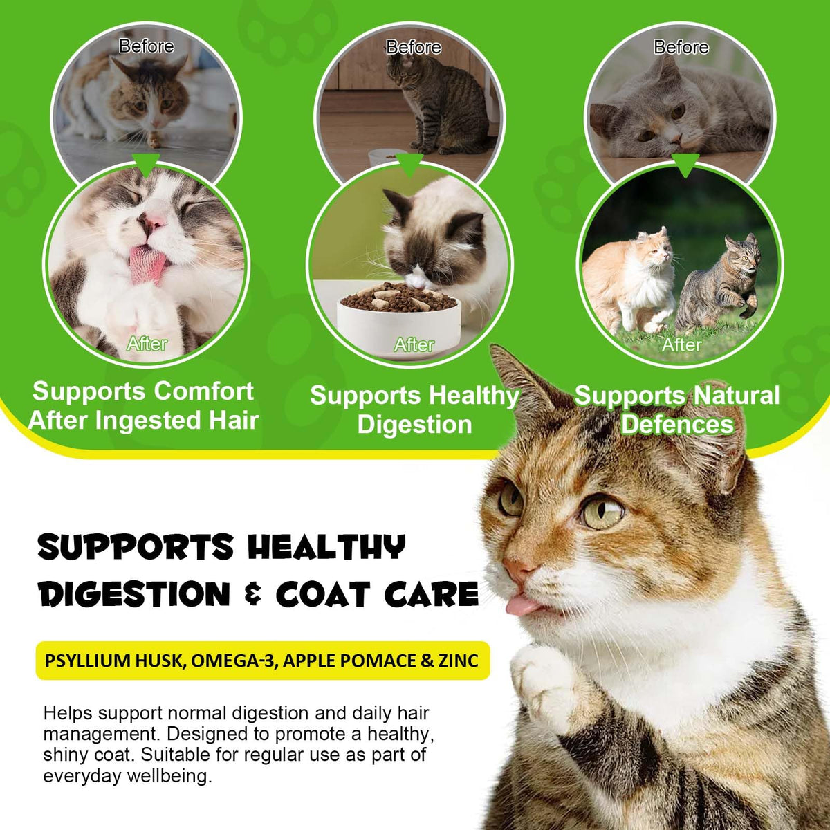Chicken Omega-3 Fiber Supplement for Cats R600