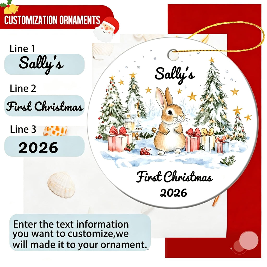 Baby First Christmas Ornament 2026 E2155