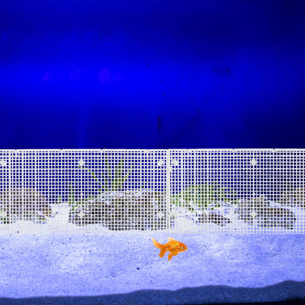 4pcs Cuttable Plastic Aquarium Tank Dividers with Suction Cups B3299