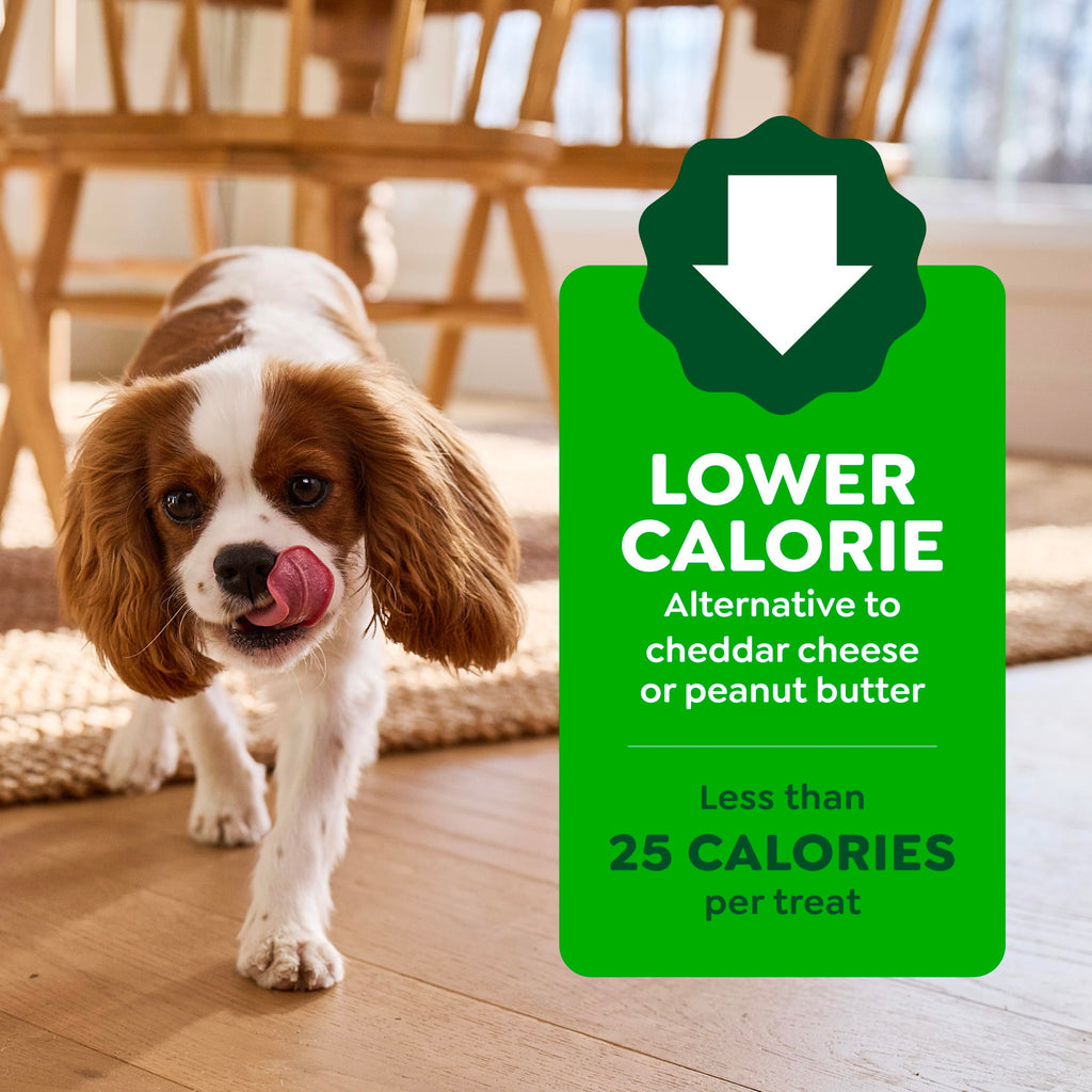 Peanut Butter Large Size Dog Treats 15.8 oz P418