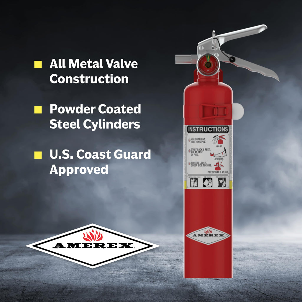 2.5 Pound ABC Dry Chemical Fire Extinguisher with Wall Bracket R3268