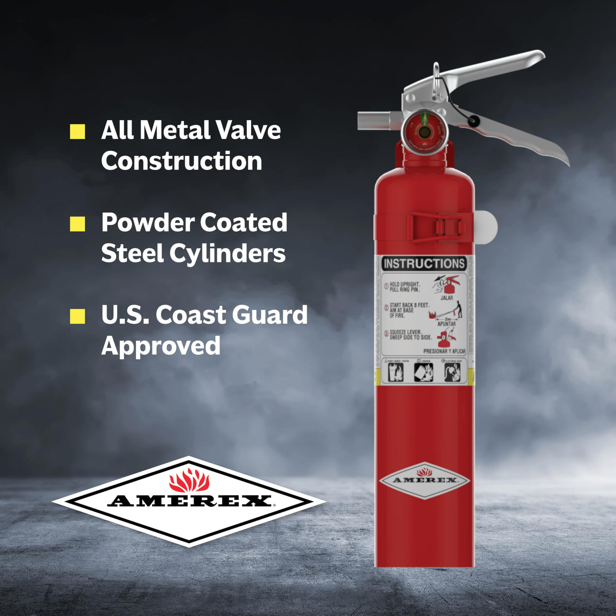 2.5 Pound ABC Dry Chemical Fire Extinguisher with Wall Bracket R3268