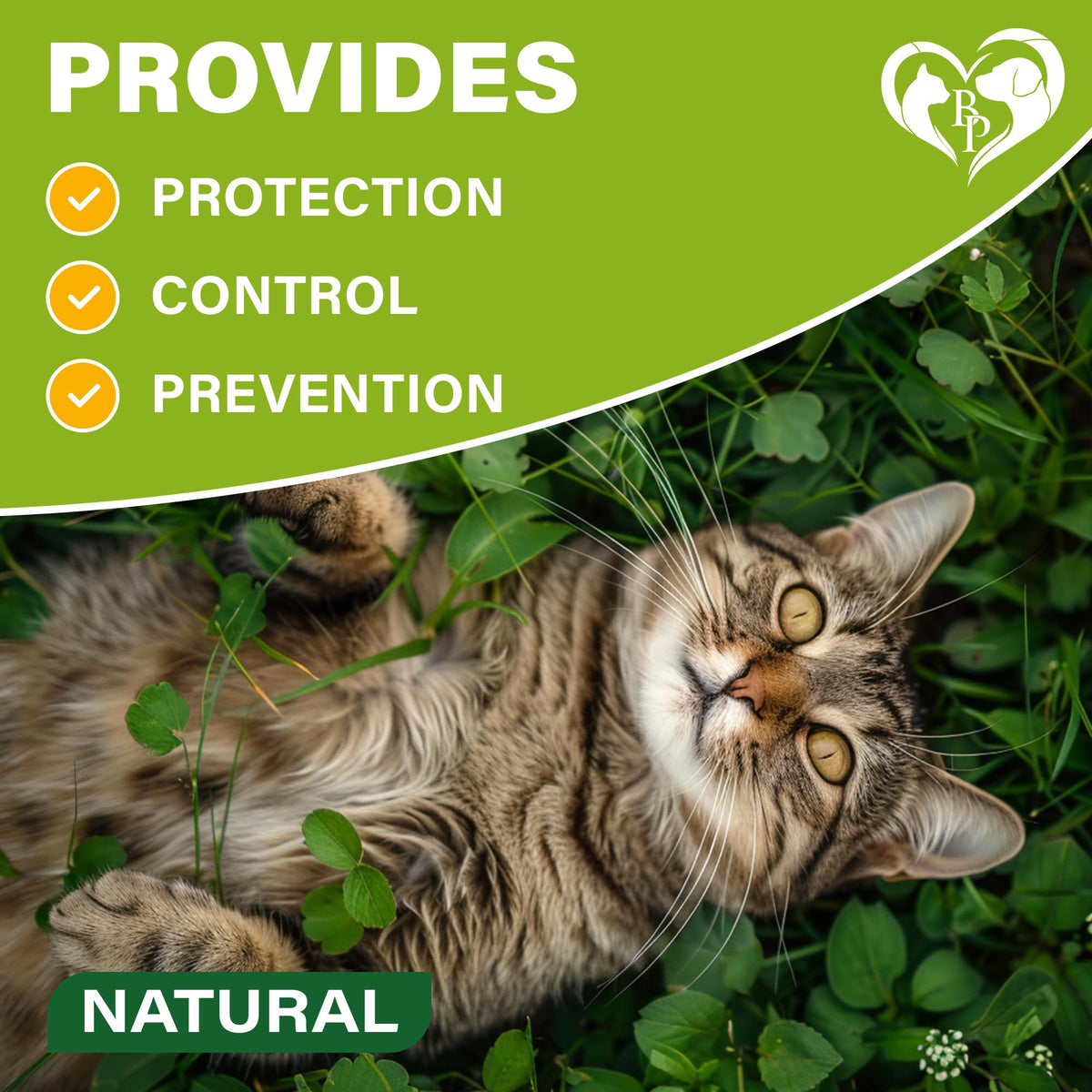 Natural Flea & Tick Collar for Cats 1 Pack F6907