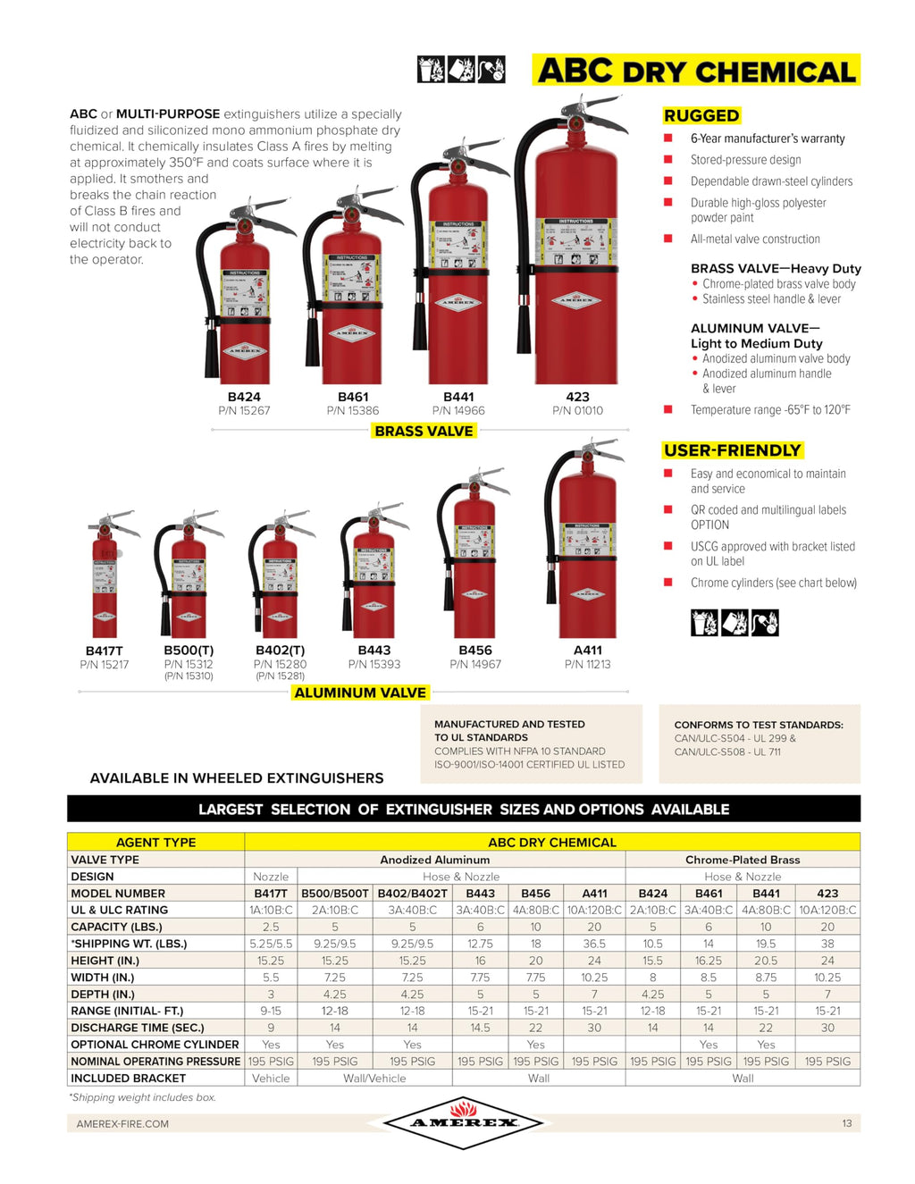 2.5 Pound ABC Dry Chemical Fire Extinguisher with Wall Bracket R3268